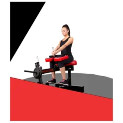 Machine à mollets professionnelle pour training musculation :Capacité de charge 500 kg