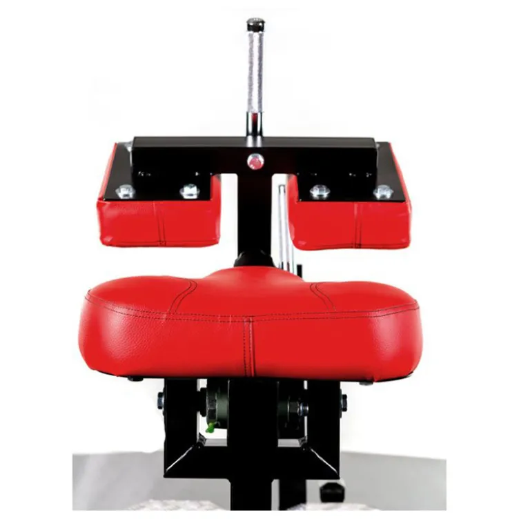 Machine à mollets professionnelle pour training musculation :Capacité de charge 500 kg