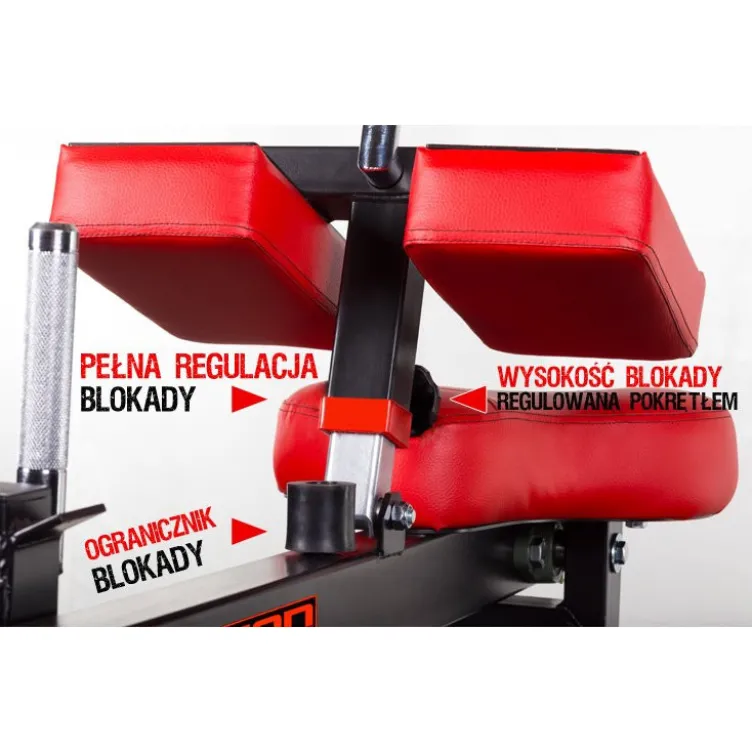 Machine à mollets professionnelle pour training musculation :Capacité de charge 500 kg