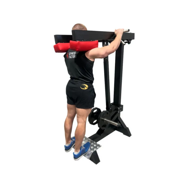 Machine Presse à mollets debout à charge libre - Appareil professionnelle pour salle de musculation et club de sport