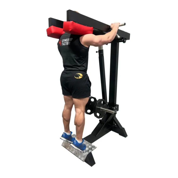 Machine Presse à mollets debout à charge libre - Appareil professionnelle pour salle de musculation et club de sport