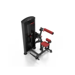 Machine pro 2 en 1 crunch abdominal et back extension