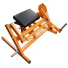 Machine Pupitre à biceps de musculation à charge libre pour salle de sport publique