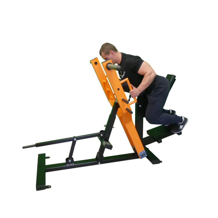 Machine T-Bar Row professionnelle à charge libre pour entraînement des dorsaux - disques poids olympiques