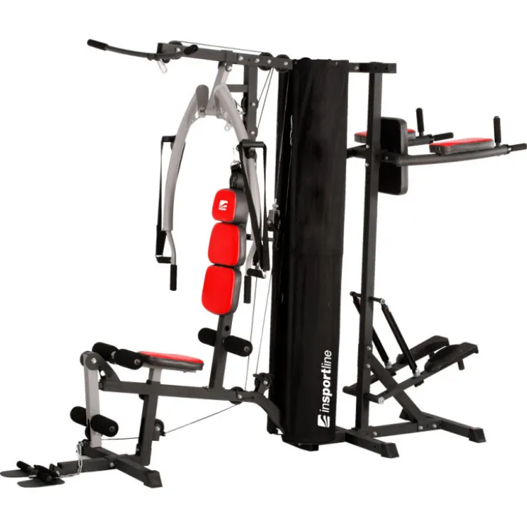 Multi-Gym polyvalente avec poulie à colonne de poids - Stepper - Poste à dips pour espace sportif à domicile