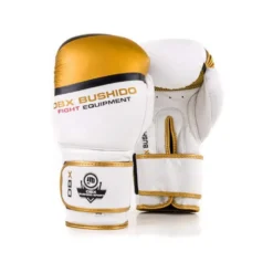 Paire de gants de boxe et sports de combat