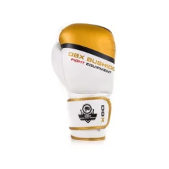 Paire de gants de boxe et sports de combat