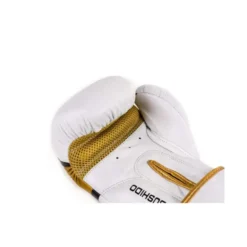 Paire de gants de boxe et sports de combat pro gold