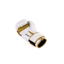 Paire de gants de boxe et sports de combat pro gold
