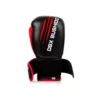 Paire de gants de boxe professionnelle