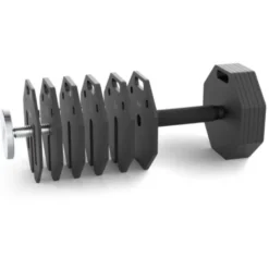 Paire de plaques de poids en acier 2 x 2 kg pour extension de charge Octa Dumbells ATX - Progression possible jusqu'à 65 kg