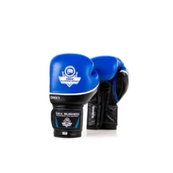 Paire gants de boxe et kick-boxing professionnel