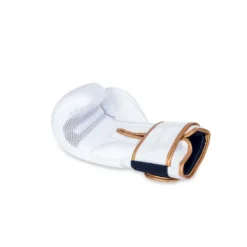 Paire gants de boxe professionnelle 100% cuir