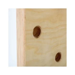 Peg board ATX fixable sur les plateformes rigs de cross-training