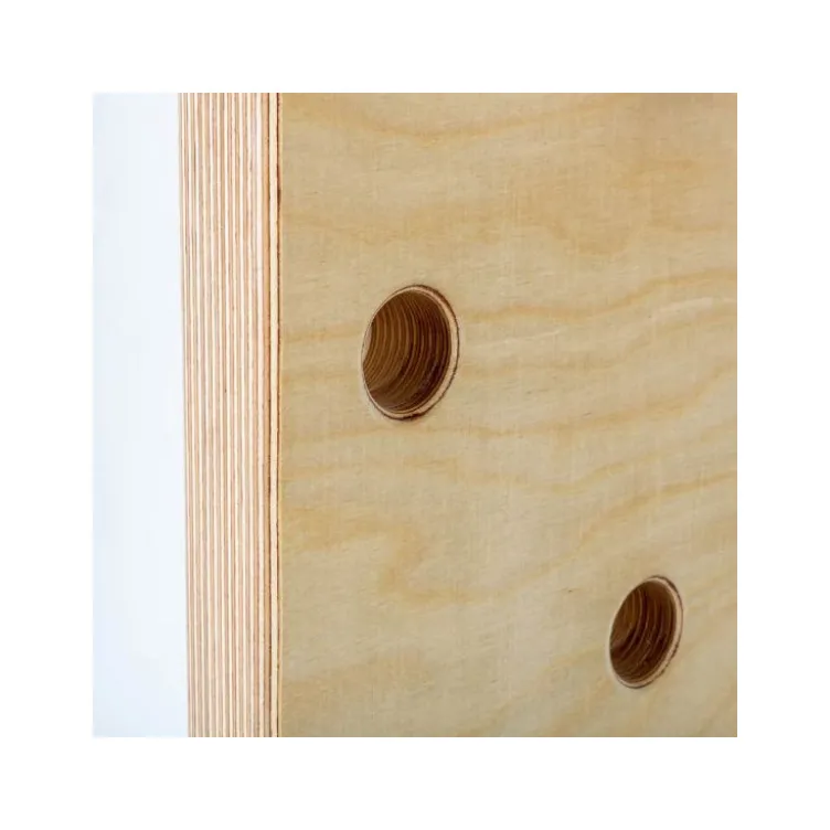Peg board ATX fixable sur les plateformes rigs de cross-training