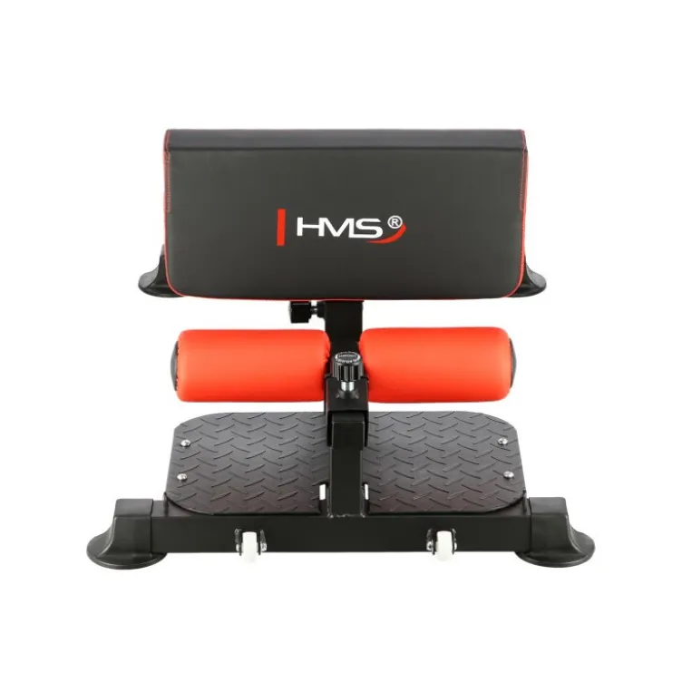 Plateforme de musculation pour l'exercice du sissy squat et pompes - Équipement ajustable