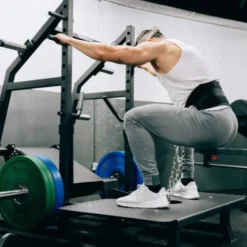 Plate loaded Machine Belt squat capacité 500 kg et plateforme pour les pieds surdimensionnée - Titanium Élite séries EL-PL9