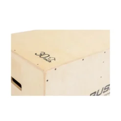 Plyobox d'entraînement en bois contreplaqué pour Hyrox et crossfit