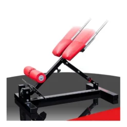Poste à abdominaux et lombaires - Back extension réglable sur 3 positions pour espaces sportifs professionnels