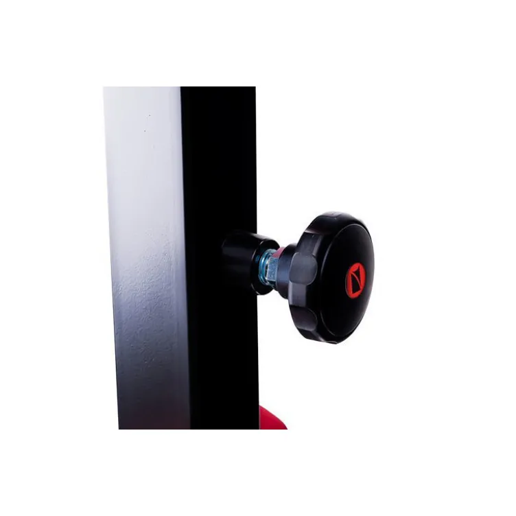 Poste à abdominaux et lombaires - Back extension réglable sur 3 positions pour espaces sportifs professionnels