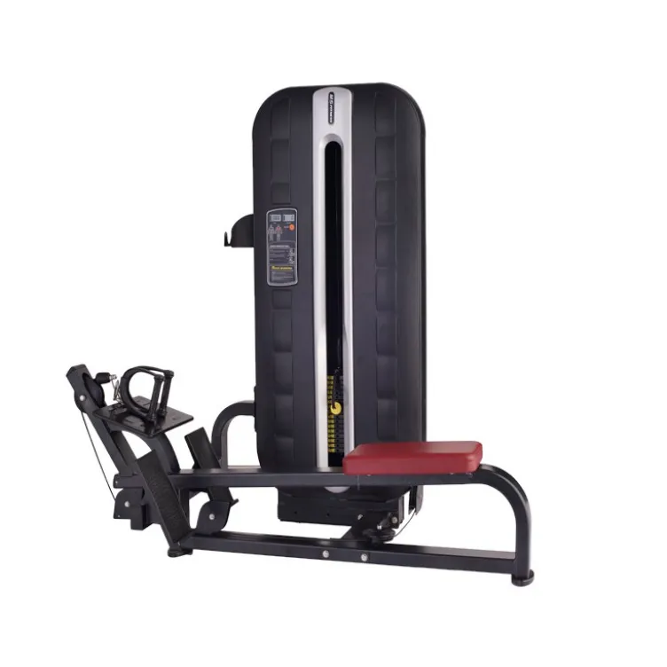Poulie basse professionnelle charge guidée 100 kg pour rowing dorsaux