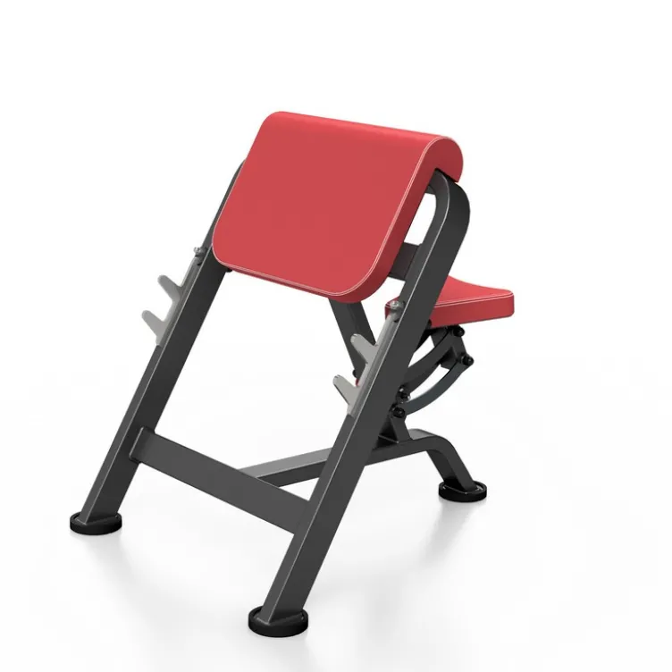 Pupitre à biceps banc Scott professionnel 400 kg