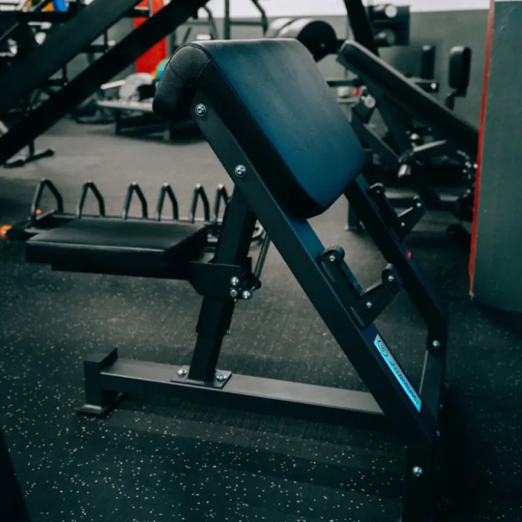 Pupitre à Biceps de qualité professionnelle - Banc Scott capacité de charge 300 kg - Titanium Strength Elite Series