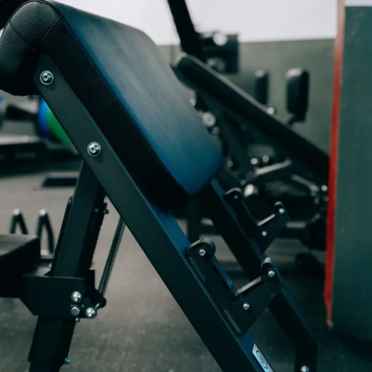 Pupitre à Biceps de qualité professionnelle - Banc Scott capacité de charge 300 kg - Titanium Strength Elite Series