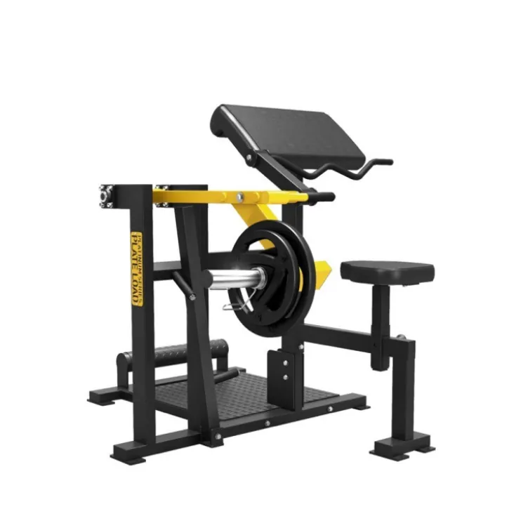 Pupitre biceps et triceps professionnel à charge libre