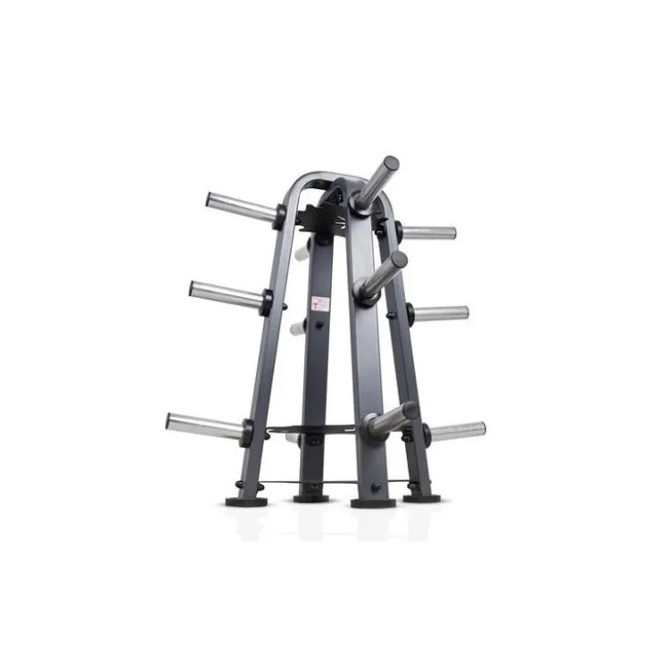 Rack de stockage pour barres et poids olympiques - Capacité de charge 800 kg