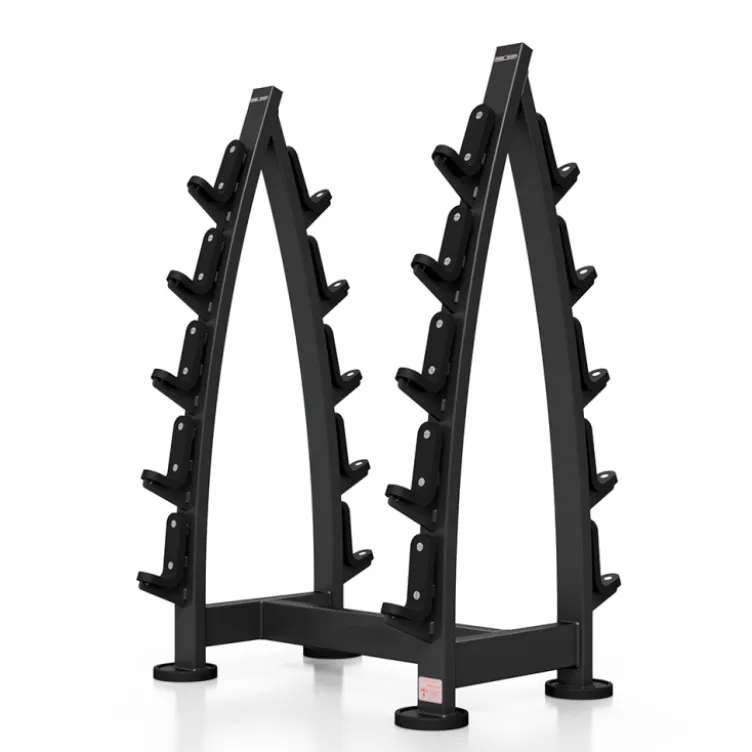 Rack professionnel pour haltères barres longues (10 positions)