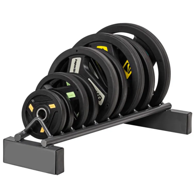 Rack support de disques de poids jusqu'à 300 kg