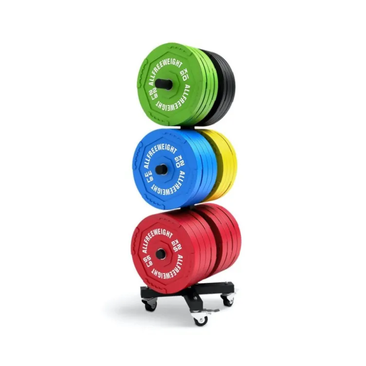 Rangement pratique et mobile pour disques de poids olympiques pour homegym