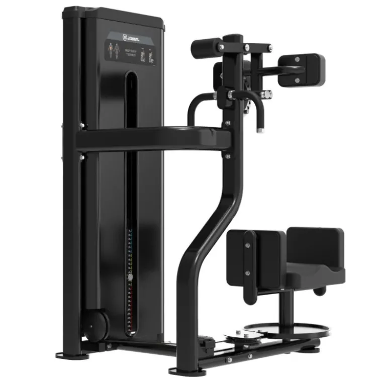 Rotary Torso à charge guidée pour abdominaux et obliques avec support de poitrine ajustable - Titanium Black Series RX BSRX-S16