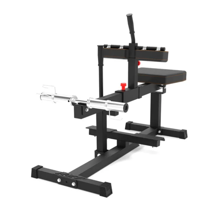 Seated Calf Raise Machine à charge libre pour l'entraînement des mollets - Maximum 200 kg et réglages multiples