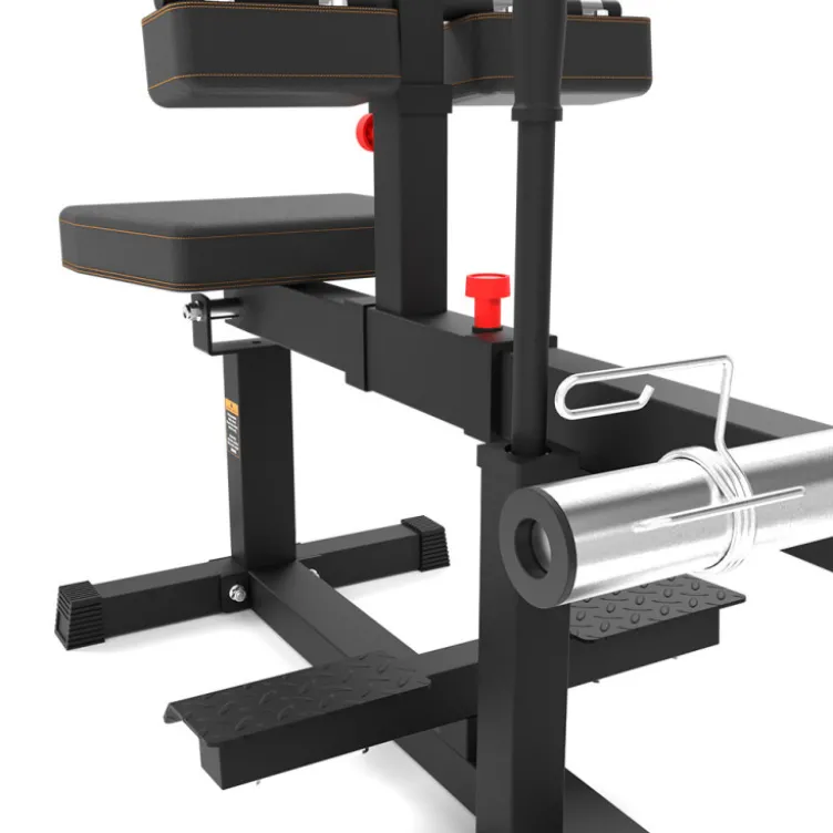 Seated Calf Raise Machine à charge libre pour l'entraînement des mollets - Maximum 200 kg et réglages multiples