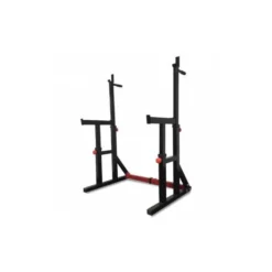 Squat et dip stand de musculation à hauteur et largeur ajustables pour homegym avec capacité de charge de 272 kg