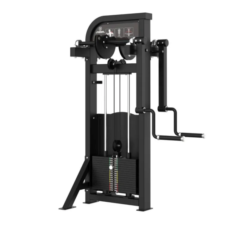 Standing deltoïdes trainer machine à sélecteur de poids - Appareil pour les épaules Titanium Strength Élite Séries EL-S27