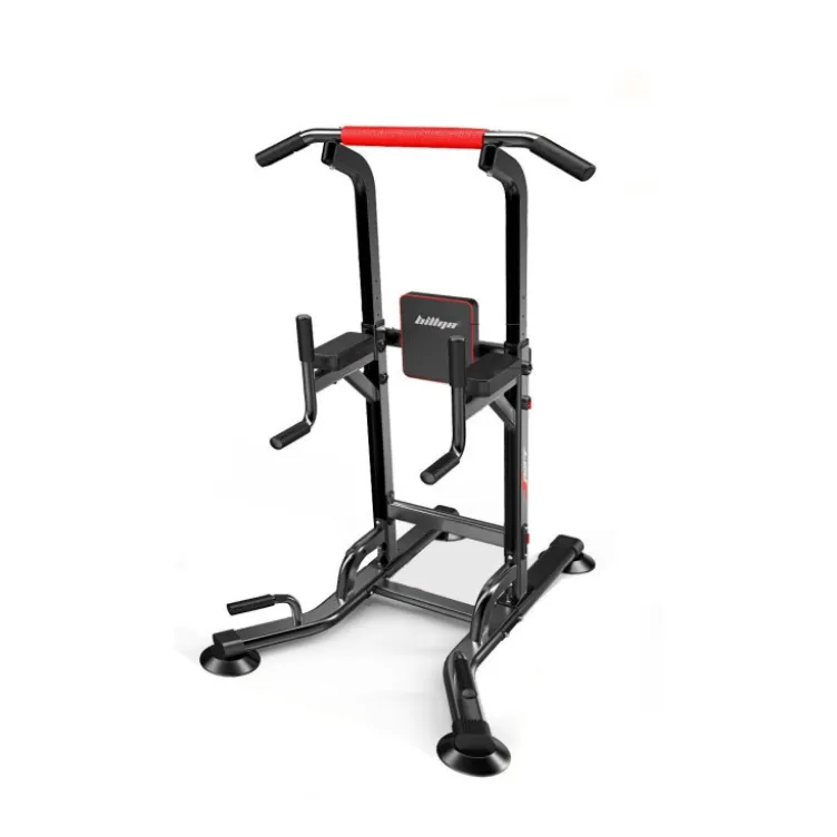 Station chaise romaine haut de gamme pour exercices divers - Hauteur réglable