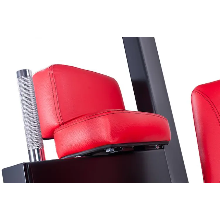 Station chaise romaine multipostes pour exercices de musculation haut du corps