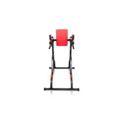 Station chaise romaine pour exercices de dips en Home-gym capacité 150 kg