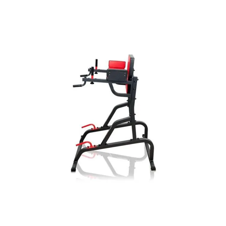 Station chaise romaine pour exercices de dips en Home-gym capacité 150 kg