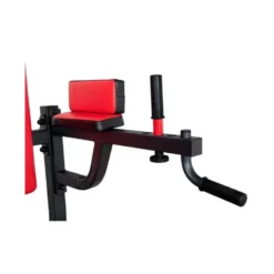Station chaise romaine pour exercices de dips en Home-gym capacité 150 kg