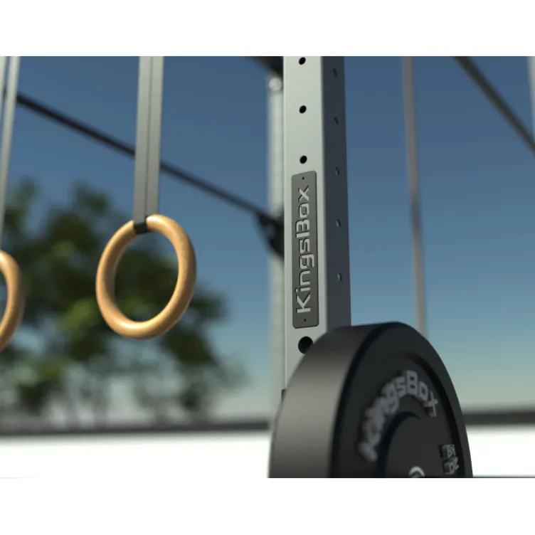 Station de Crossfit Mighty en acier galvanisé complète et polyvalente fixable en extérieur