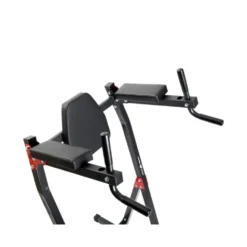Station de dips et abdominaux capacité 120 kg