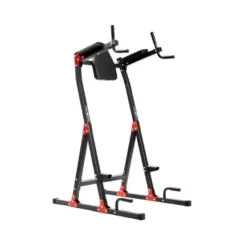Station de dips et abdominaux capacité 120 kg