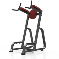 Station de dips et abdominaux professionnelle charge 150 kg