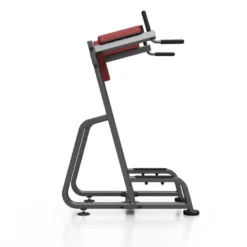 Station de dips et abdominaux professionnelle charge 150 kg
