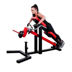 Station de musculation du dos - Rowing dorsaux allongé à charges libres pour structures sportives professionelles