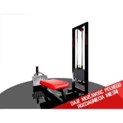 Station de musculation pour le dos à charges guidées - Back machine avec poignée de tirage pour salle d'entraînement pro